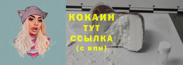 стаф Каменск-Шахтинский