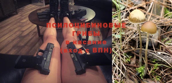 гидропоника Карпинск