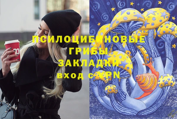 гидропоника Карпинск