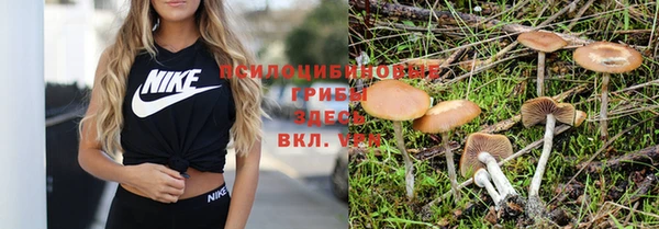 твердый Касимов