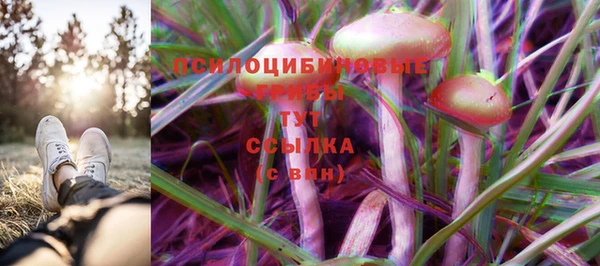 твердый Касимов