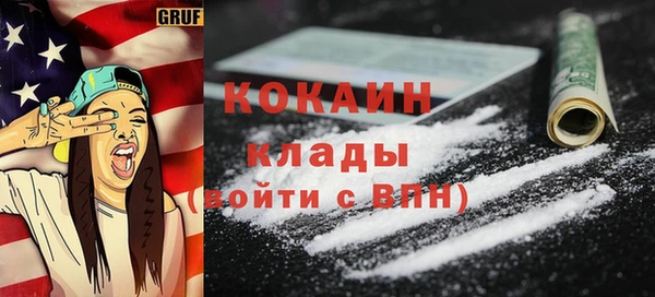 сатива Каменка