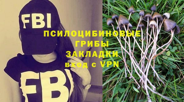 гидропоника Карпинск