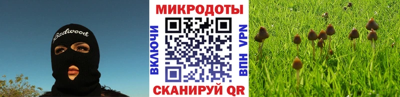 Галлюциногенные грибы MAGIC MUSHROOMS  Купить  Микунь 